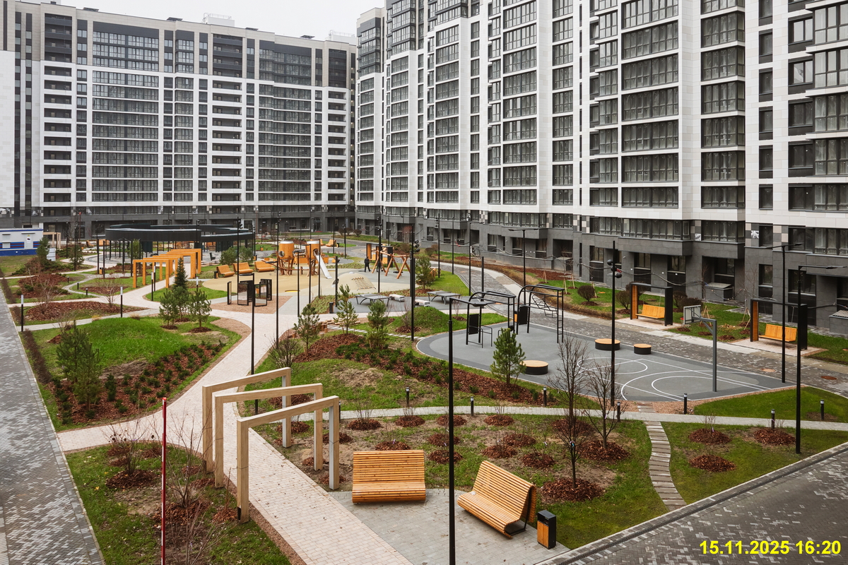 15 ноября 2025