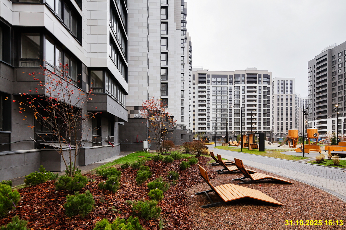 31 октября 2025