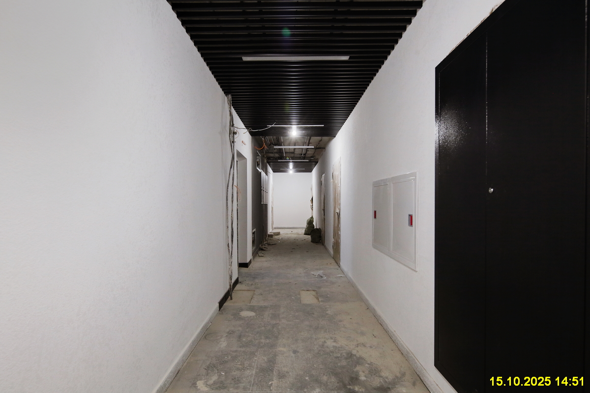 15 октября 2025