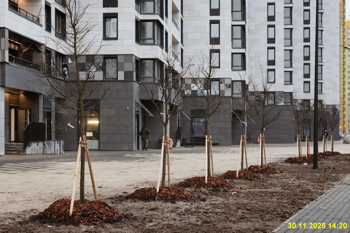 30 ноября 2025