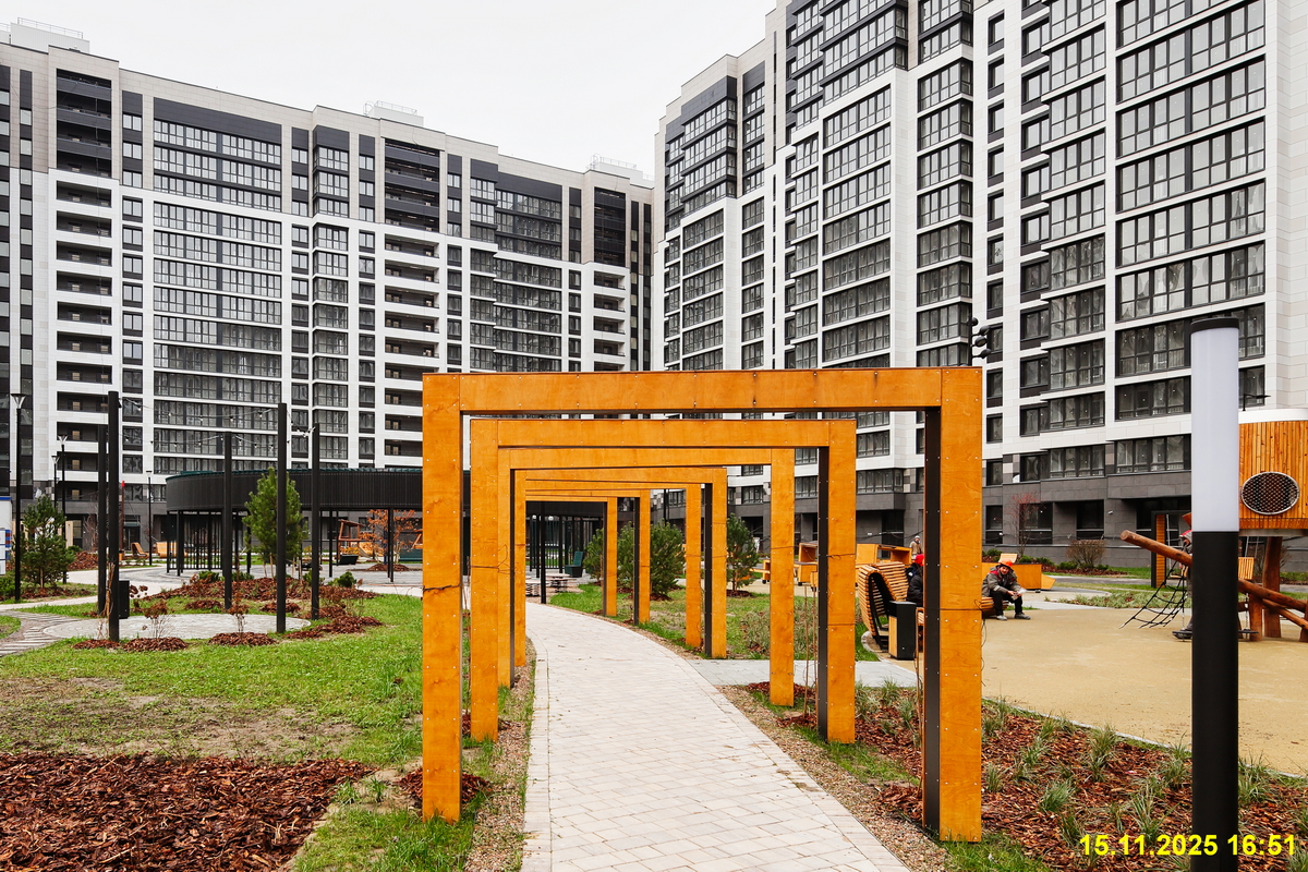 15 ноября 2025