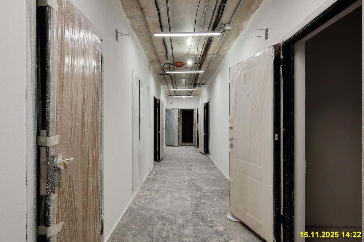 15 ноября 2025