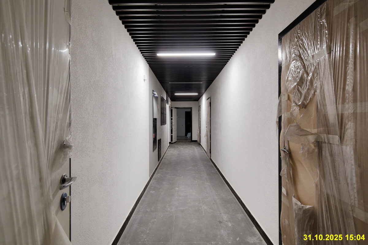 31 октября 2025