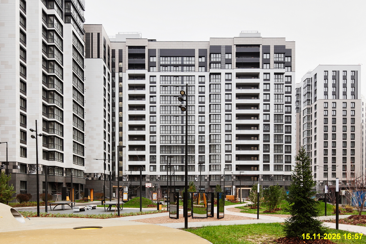 15 ноября 2025