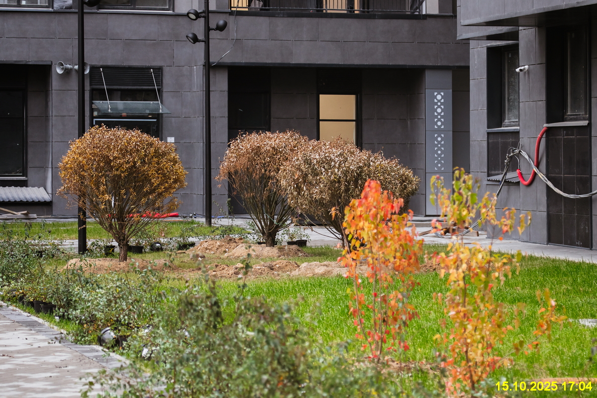 15 октября 2025