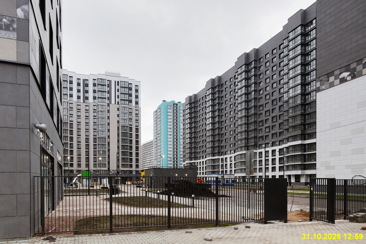 31 октября 2025