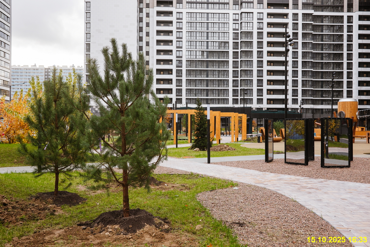 15 октября 2025