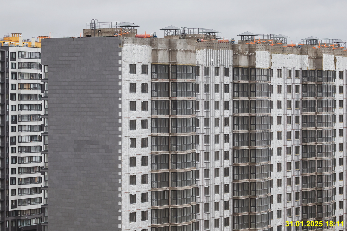 31 января 2025