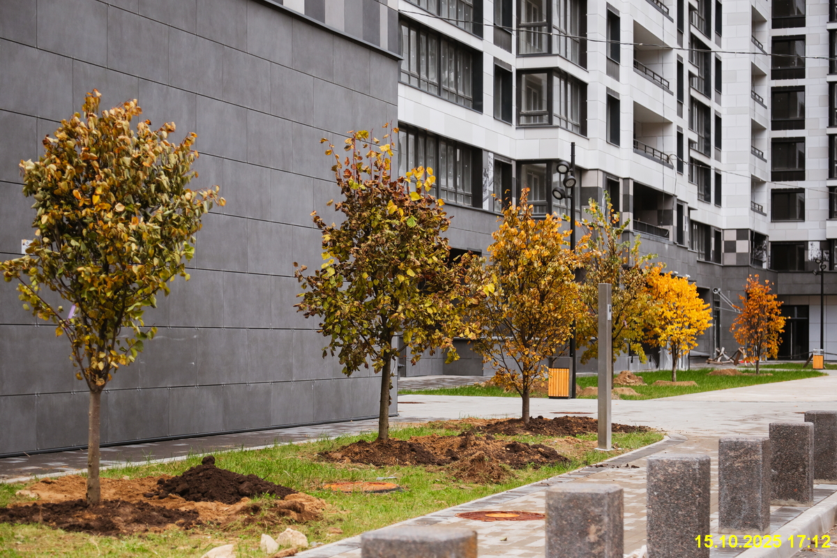 15 октября 2025