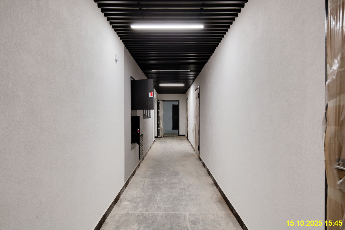 15 октября 2025