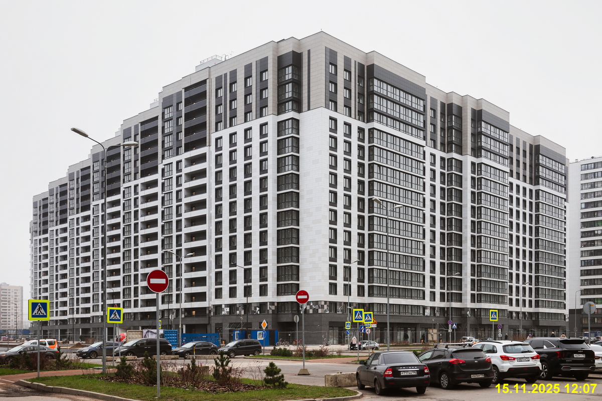 15 ноября 2025