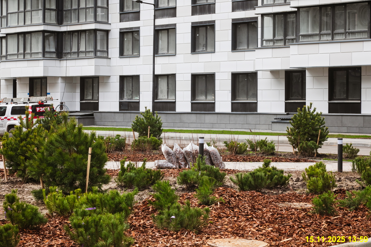 15 ноября 2025