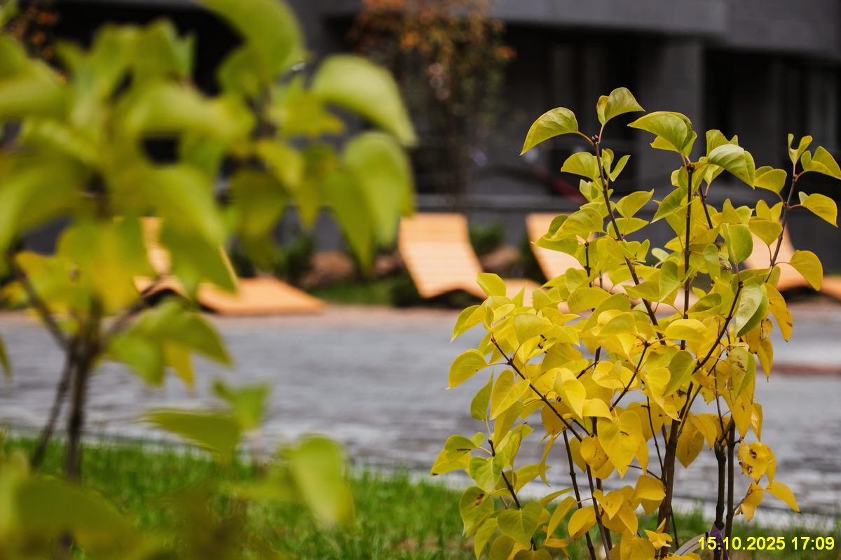 15 октября 2025