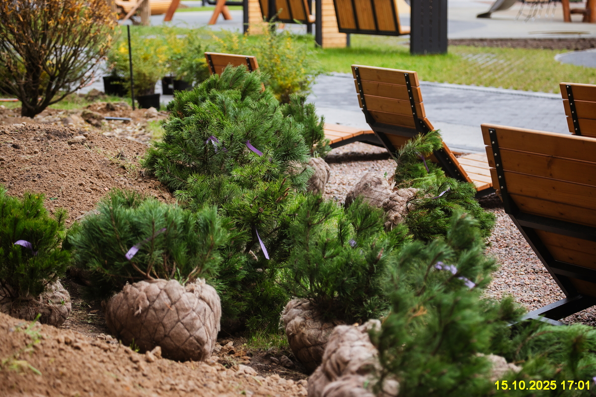 15 октября 2025