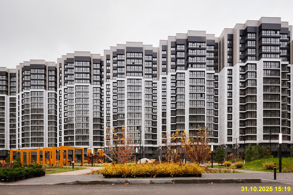 31 октября 2025