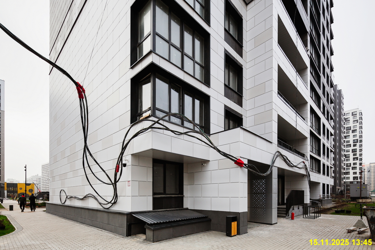 15 ноября 2025