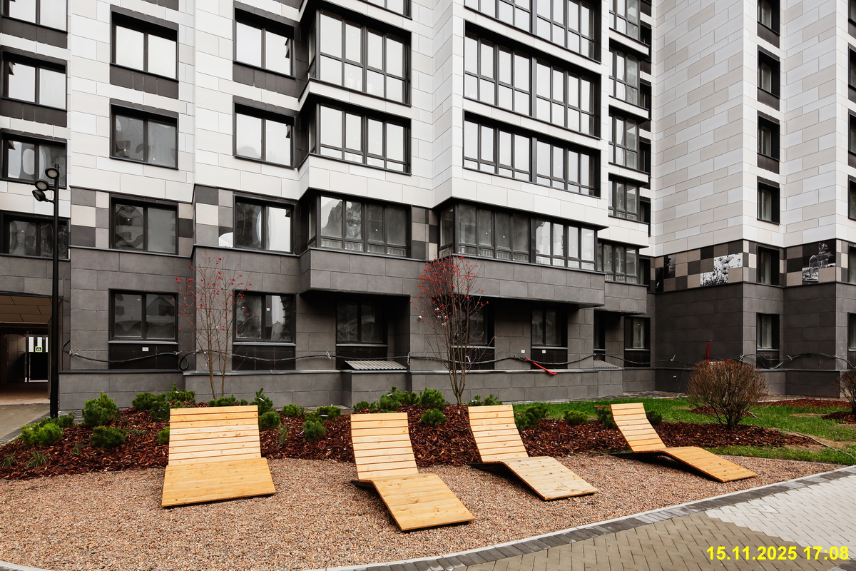 15 ноября 2025