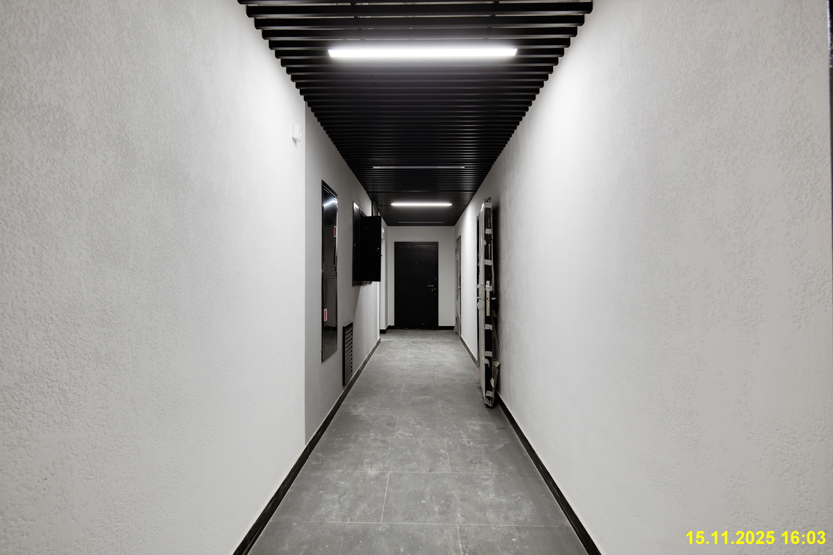 15 ноября 2025