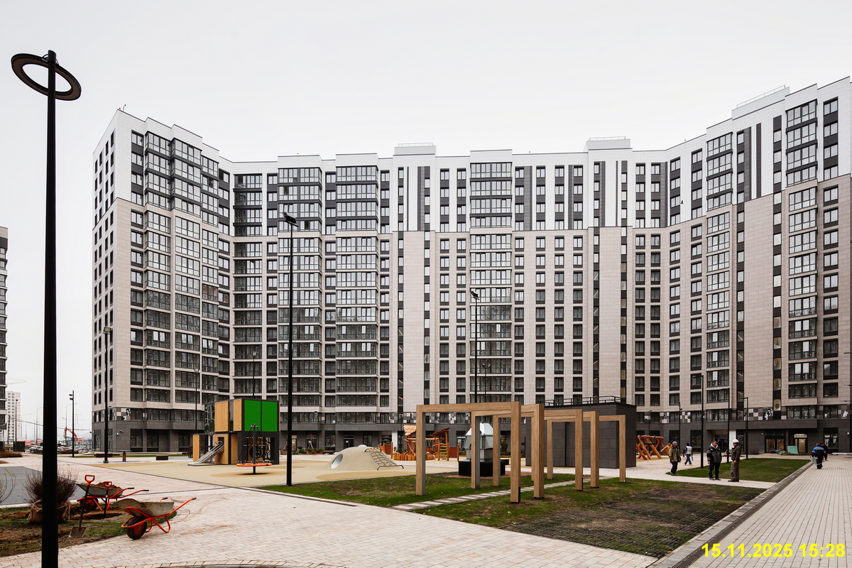 15 ноября 2025