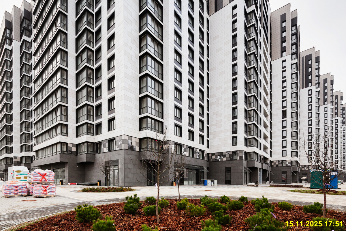 15 ноября 2025