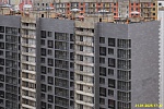31 января 2025