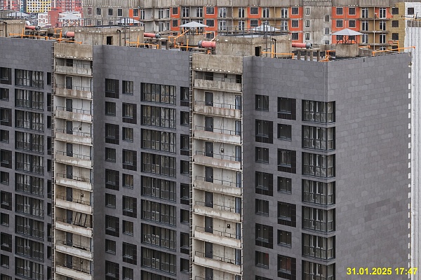 31 января 2025
