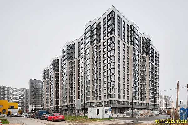 15 ноября 2025