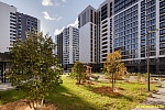 30 сентября 2025