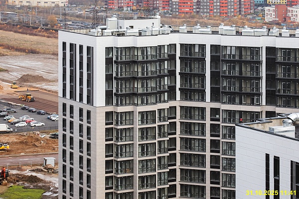 31 октября 2025