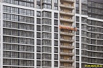 31 января 2025