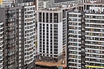 31 января 2025
