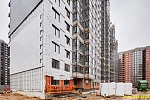 31 января 2025
