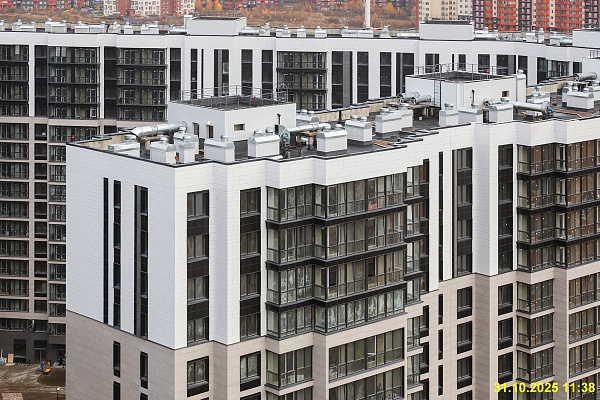 31 октября 2025