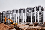 31 января 2025