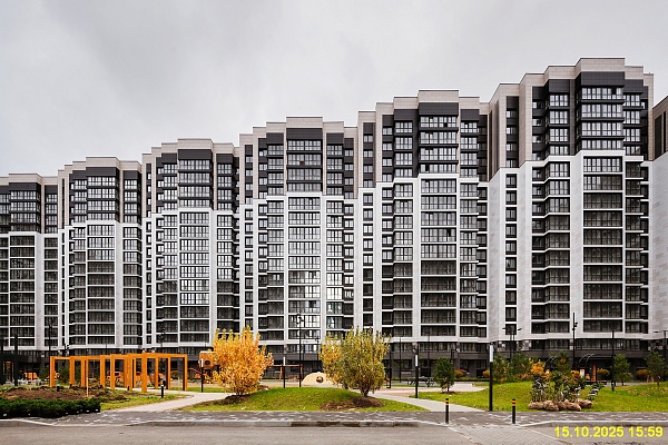 15 октября 2025