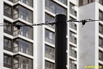 30 сентября 2025