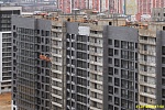 31 января 2025