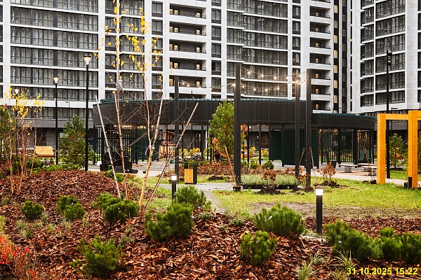 31 октября 2025