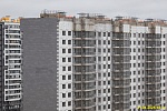 31 января 2025