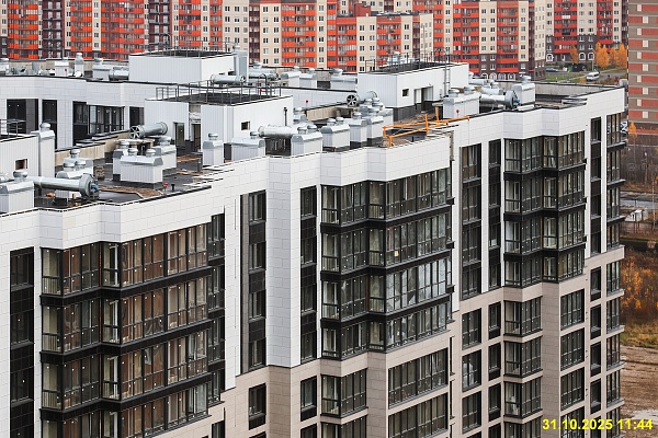 31 октября 2025