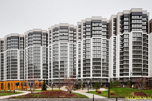 15 ноября 2025