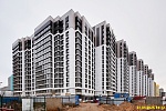 31 января 2025