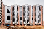 31 января 2025