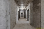 31 января 2025