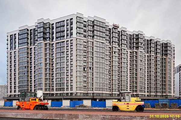 31 октября 2025