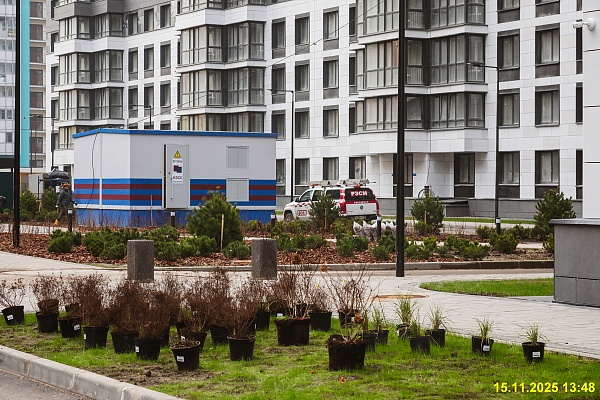 15 ноября 2025